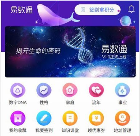 数易通-算命-生命密码-数字能量-九宫格-uniapp-小程序+后台